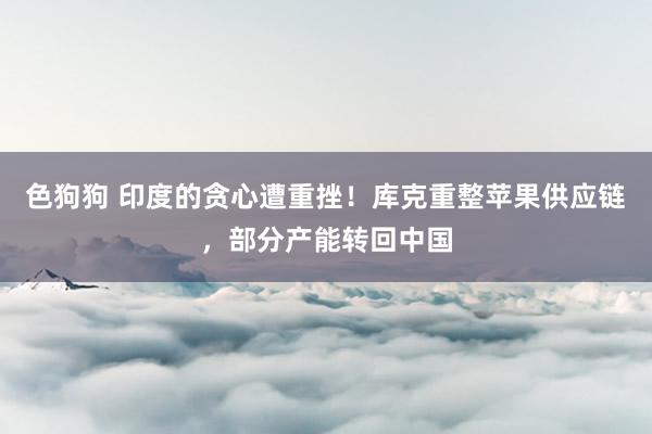 色狗狗 印度的贪心遭重挫！库克重整苹果供应链，部分产能转回中国