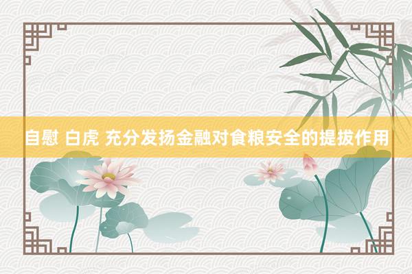 自慰 白虎 充分发扬金融对食粮安全的提拔作用