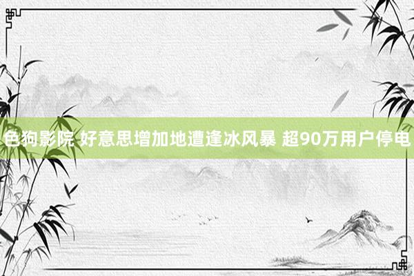 色狗影院 好意思增加地遭逢冰风暴 超90万用户停电