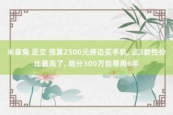 米菲兔 足交 预算2500元傍边买手机, 这3款性价比最高了, 跑分300万自尊用6年