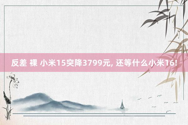 反差 裸 小米15突降3799元, 还等什么小米16!