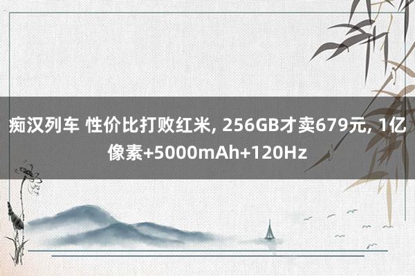 痴汉列车 性价比打败红米, 256GB才卖679元, 1亿像素+5000mAh+120Hz